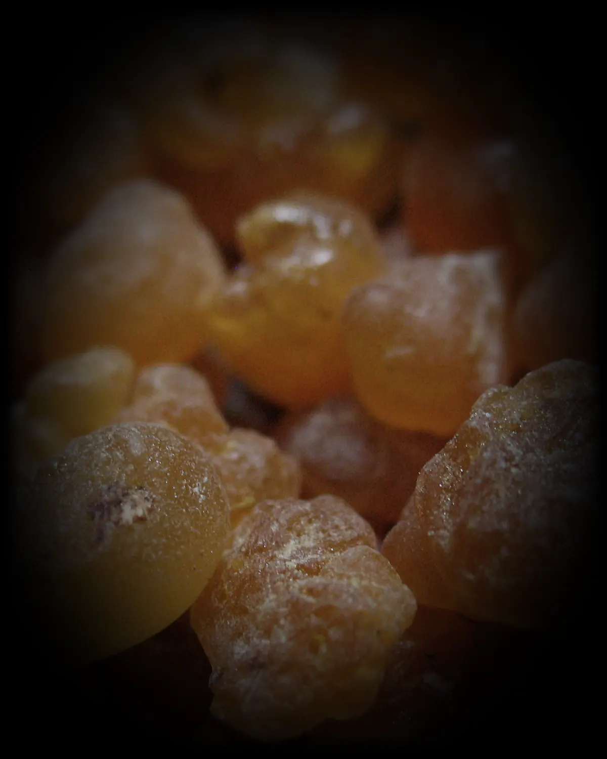 Frankincense tears