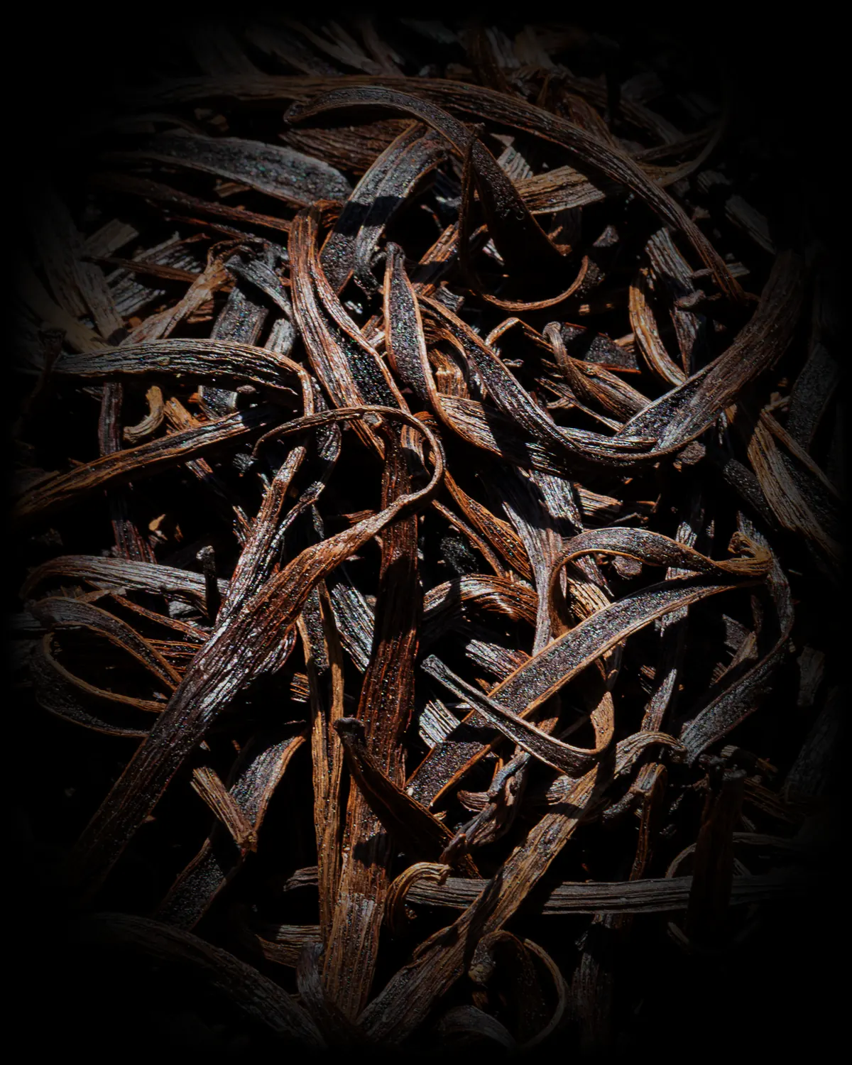 Vanilla pods, cured